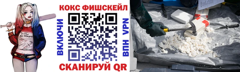 Где купить наркотики Жиздра ОМГ ОМГ онион  Кокаин  Мефедрон  Вейп ТГК  Конопля  ГАШ 