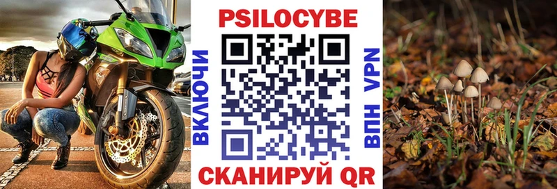 закладки  Жиздра  mega ССЫЛКА  Галлюциногенные грибы MAGIC MUSHROOMS 